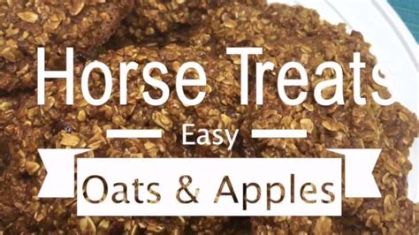 Top 10 Homemade Horse Treats & Recipes Without Molasses - Pet Care Stores