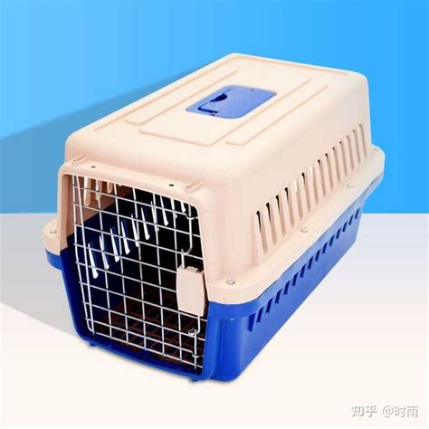 带宠物猫坐车需要注意什么？ 知乎