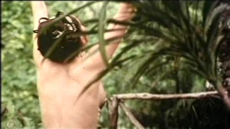 Amazon Golden Temple Nude Pics Page