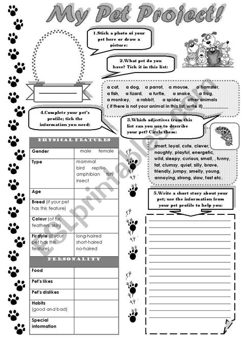 My Pet Project Describing A Pet Worksheet Writing Activity Esl