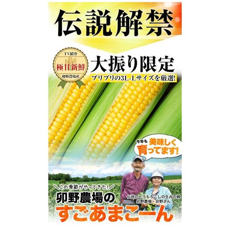 もうすぐ販売終了★500円off とうもろこし スイートコーン すごあまこーん 約27kg~36kg 9本入り 送料無料 7月中旬