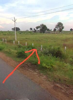 Agriculture Farm Land For Sale In Kalwakurthy Hyderabad Sq Yard