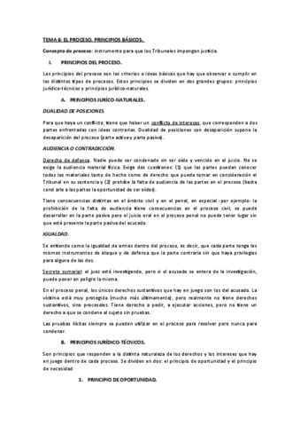 Tema Procesal Pdf