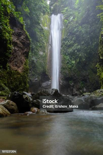 Air Terjun Tropis Dengan Hutan Hujan Air Terjun Casaroro Di Hutan Di