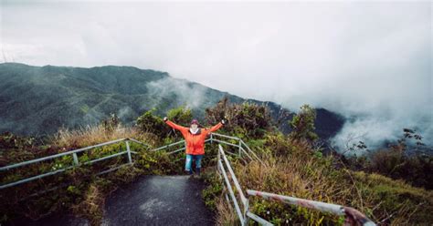 Toro Negro State Forest Discover Puerto Rico