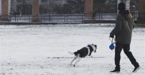 Meteo Ecco Quanto Durer Il Freddo Giuliacci La Neve Sta Per