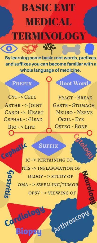 Basic Medical Terminology For The Emt Emt Training Base Medical