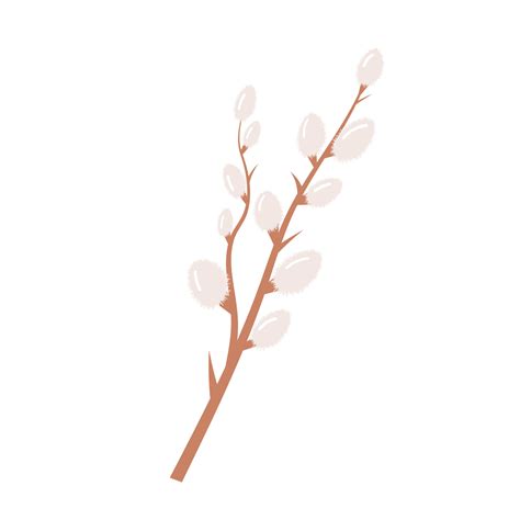 Willow Twig Spring Easter Symbol Branch With Blooming Pussy Vector Art At Vecteezy