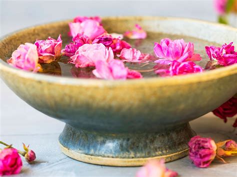 Darum darf Rosenöl in keiner Beauty-Routine fehlen | freundin.de