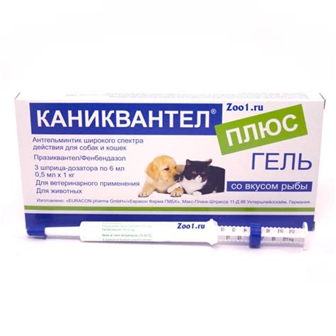 Каниквантел для собак: инструкция по применению, цена, отзывы