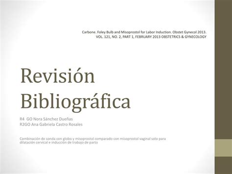 PPT Revisión Bibliográfica PowerPoint Presentation free download