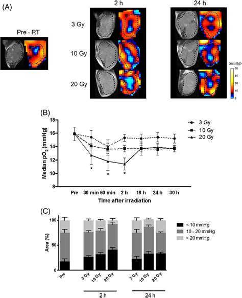 Continuous Monitoring Of Postirradiation Reoxygenation And Cycling