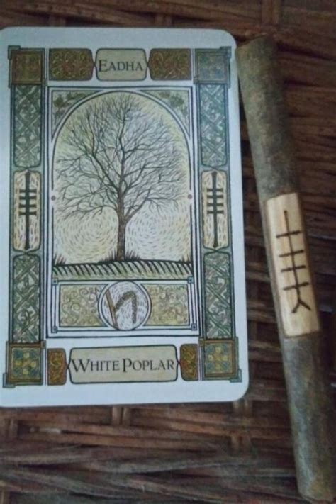 A Beginners Understanding Of Ogham Divination Part Nineteen In 2022