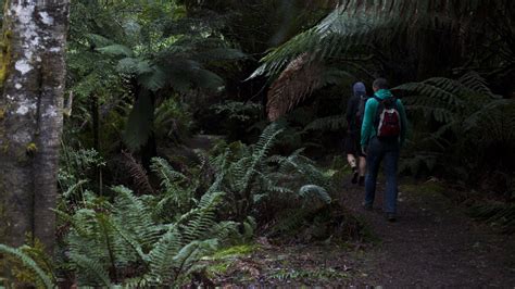 Junee Cave Track