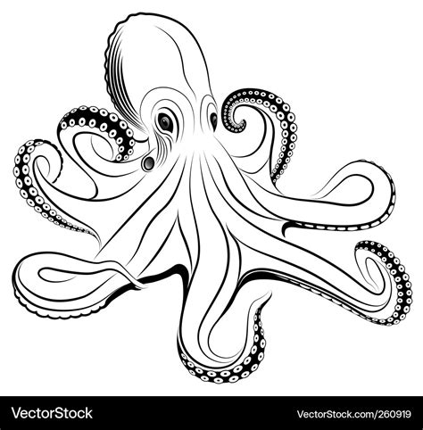 Octopus Royalty Free Vector Image Vectorstock