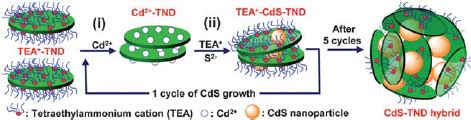 Tem Images A And B Hrtem Images C And D With Di Ff Erent Magni Fi