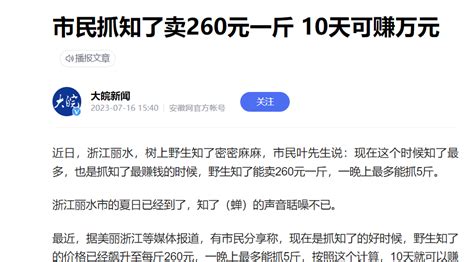 一斤260元 10天赚万元 知了会不会被吃绝？ 视点·观察 Cnbeta