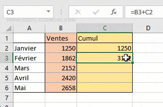 Copier Coller Dans Excel