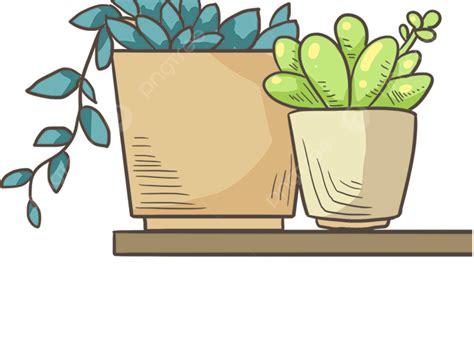 Pot Plant Potted Plants Plant Green Plants Png Transparent Clipart