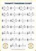 Trumpet Fingering Chart All Things Trumpet Valves WindWorks