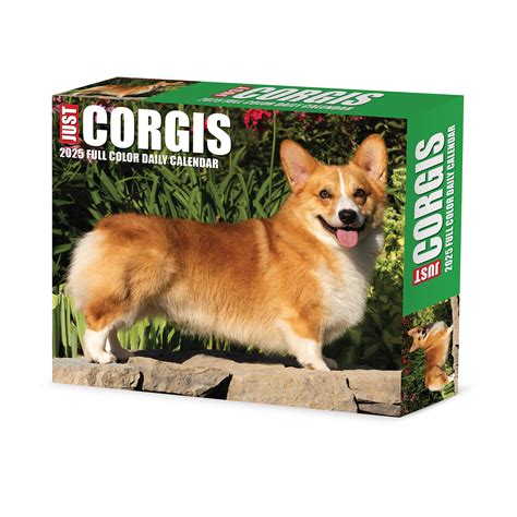 Welsh Corgi Kalender 2025 Boxed Einfach Online Bestellen