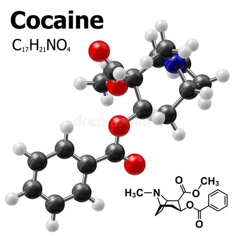 Structural Model of Cocaine Molecule Stock Vector - Illustration of ...