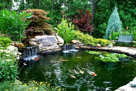 Animate Your Landscape With Waterfalls Koi Ponds Aquatic Gardens