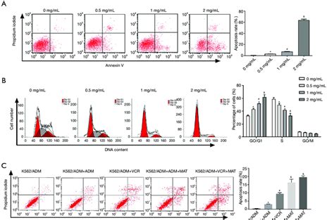 Mat Induced The Apoptosis Of K562adm Cells And Arrested Cell Cycle In Download Scientific