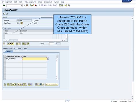 青蛙SAP分享 Froggy s SAP sharing QM Batch Inspection Characteristics