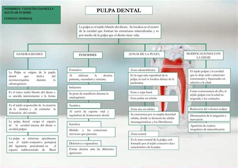 Pulpa Dental Vianeth Gianelly Aguilar Sumire Udocz