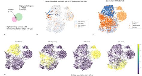 Cell Type Annotation In A Single Dataset Using Seed Labeling A