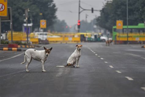 Photos Weekend Curfew In Delhi