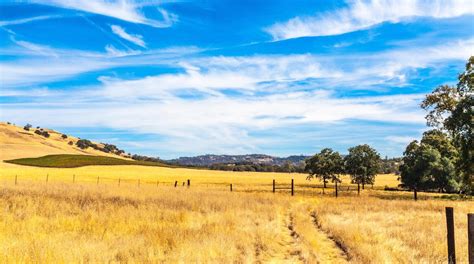 Visit Murphys: 2024 Travel Guide for Murphys, California | Expedia