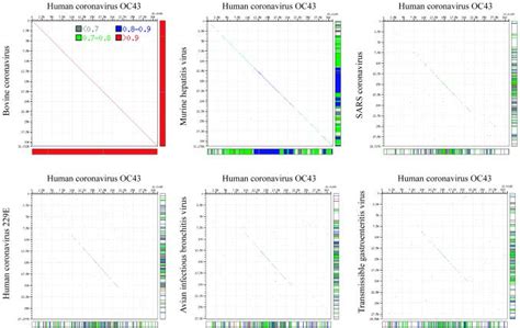 Complete Genomic Sequence of Human Coronavirus OC43: Molecular Clock ...