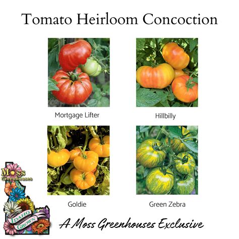recipes heirloom tomatoes 5