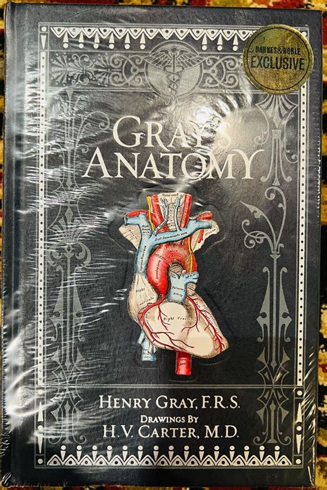 Gray S Anatomy By Henry Gray Deluxe Collectible Bonded Leather New