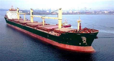 Types of Cargo Ships / Ship Chartering Services - Bulk Vessel Chartering Services / KIEVSHIPPING