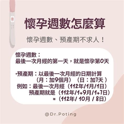 懷孕 懷孕了！什麼時候開始看婦產科？ 親子板 Dcard