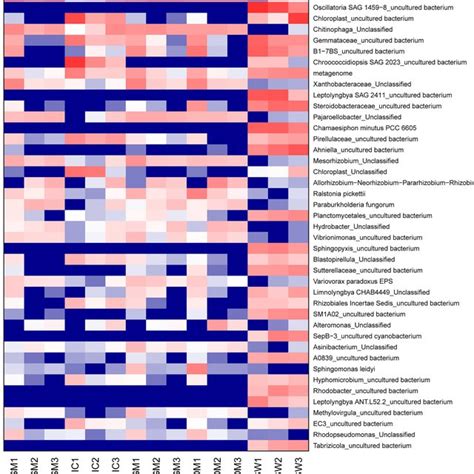 Heatmap Of Relative Abundance Of Community At Specie Level Different