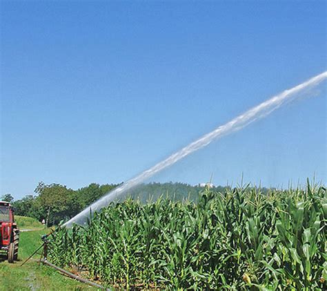 Irrigazione Nebulizzazione Irrigazione Interno Serra