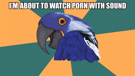 PORN Paranoid Parrot YouTube