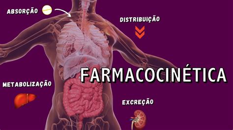 Quais São As Fases Da Farmacocinética LIBRAIN