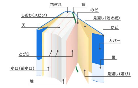 製本方法 綴じ方の種類 イシダ印刷