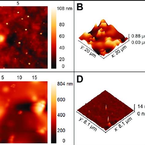 AFM Images Of Spin Coated Films Of A A PLAPLA Grafted Lignin