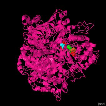 Glutamate Synthase Proteopedia Life In 3D