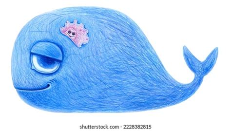 488 Whale Colored Pencil Images, Stock Photos & Vectors | Shutterstock