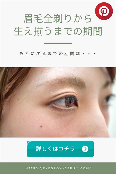 眉毛を全剃りしてから元に戻るまでの期間は？ 眉毛 眉 眉メイク