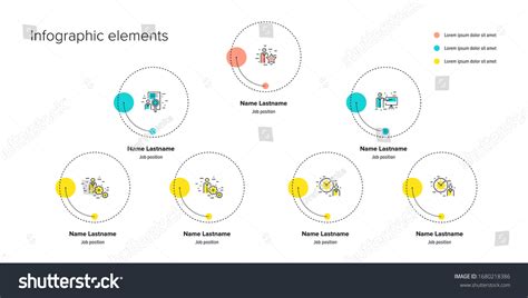 Business Hierarchy Organogram Chart Infographics Corporate Stock Vector ...