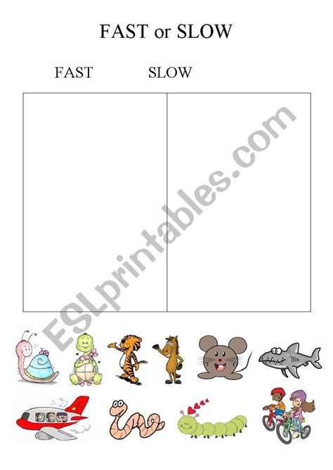 Fast And Slow Worksheets For Kindergarten Kindergarten Worksheets