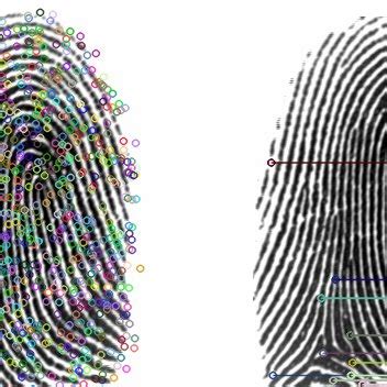 Fingerprint Local Feature Extraction And Matching A Raw Fingerprint